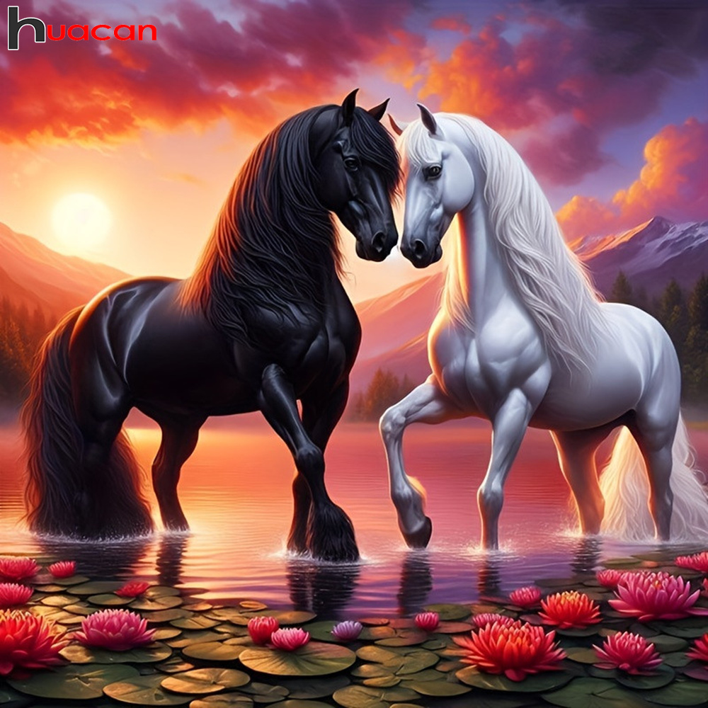 Huacan Full Diamond Painting A - Embroidery Horse recensie en prijs